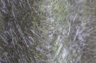 Kirkton Of Oyne fibreglass roof work